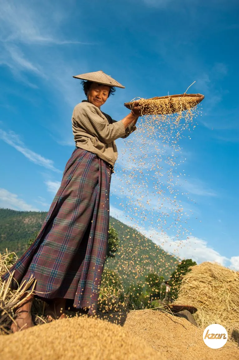 A woman uses the traditional method of sorting rice called winnowing near  Mongar in east Bhutan, Asia | Kzan